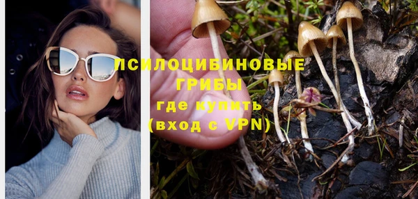 амфетамин Алексин