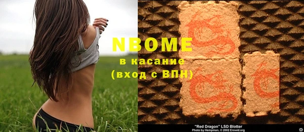 хмурый Алзамай