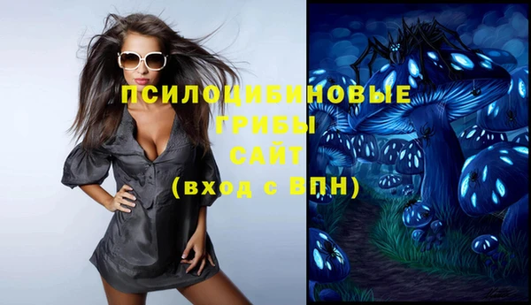 хмурый Алзамай