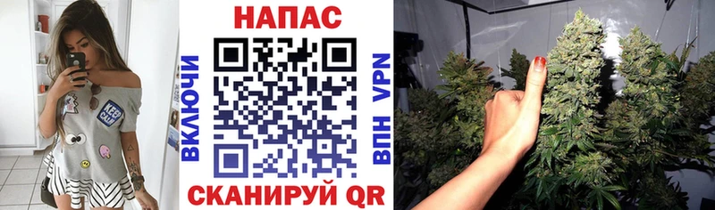 купить  сайты  Цоци-Юрт  МАРИХУАНА план 